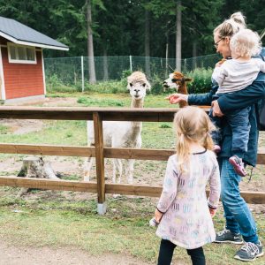 GIFT CARD FAMILY TICKET